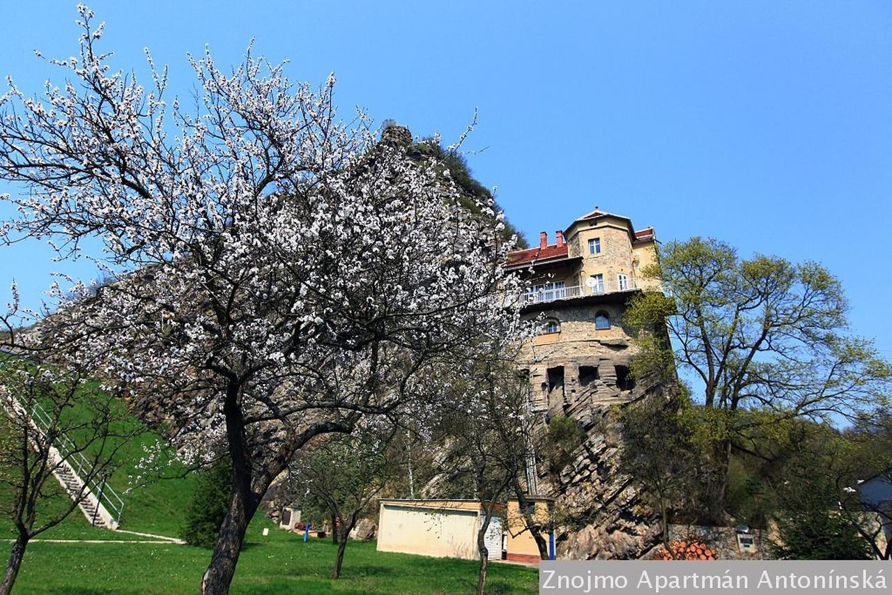 Apartman Antoninska Зноймо Экстерьер фото